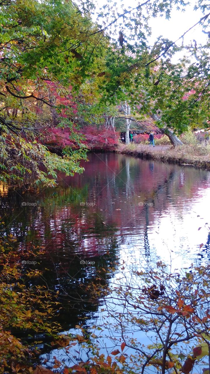 Fall colours in Karuizawa