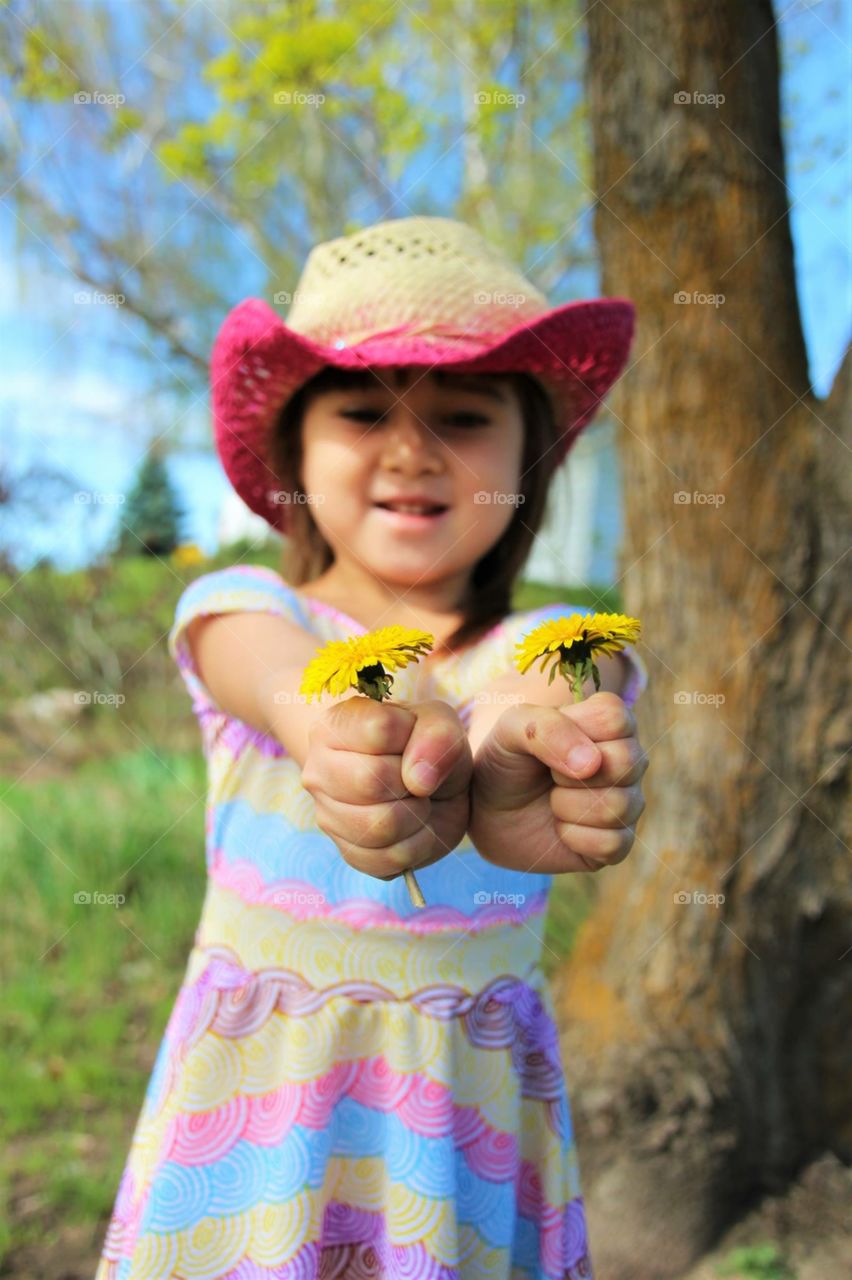 Dandelions