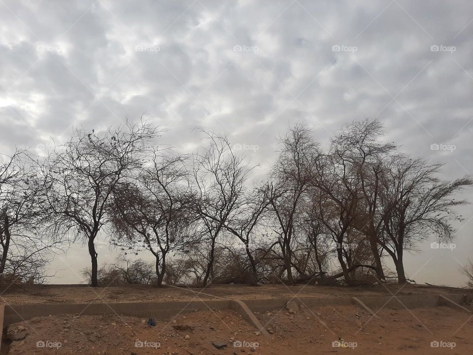 Please make me happy, I am poor, I need your help with support