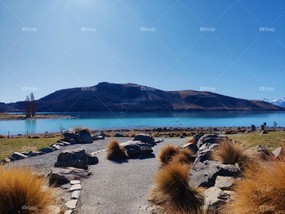 Lake Tekapo during Spring