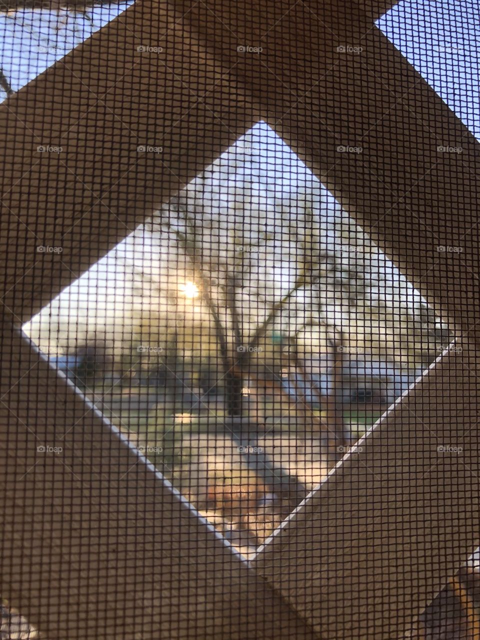 Looking through the fence