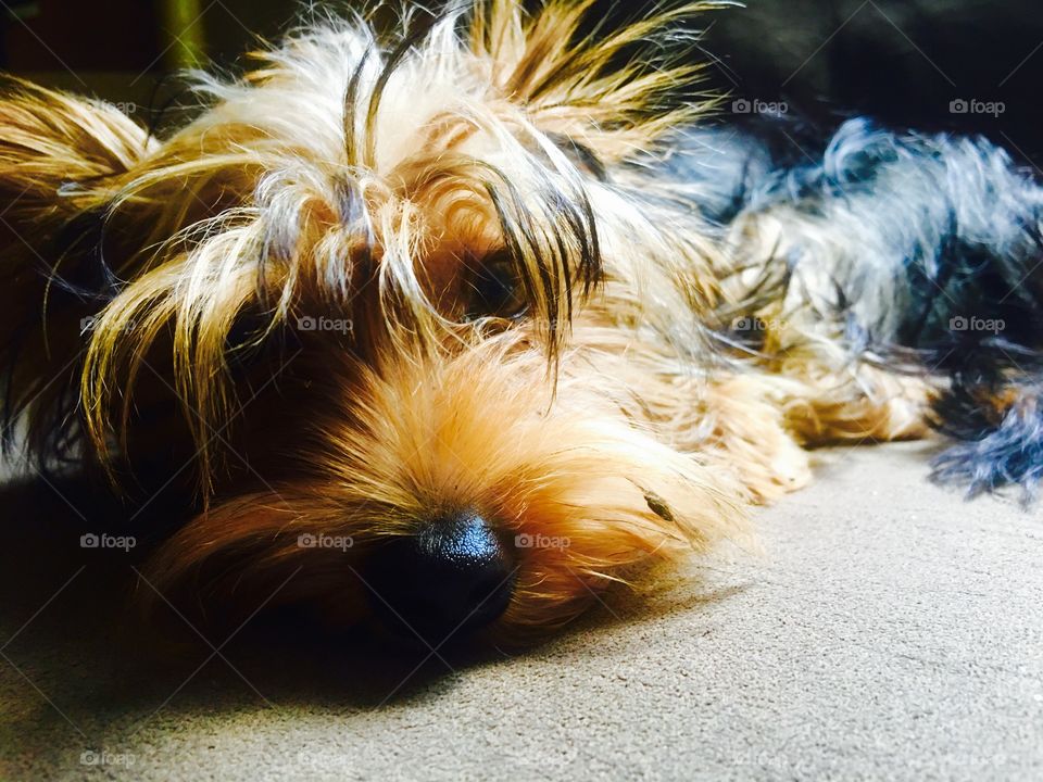 My beautiful little baby 