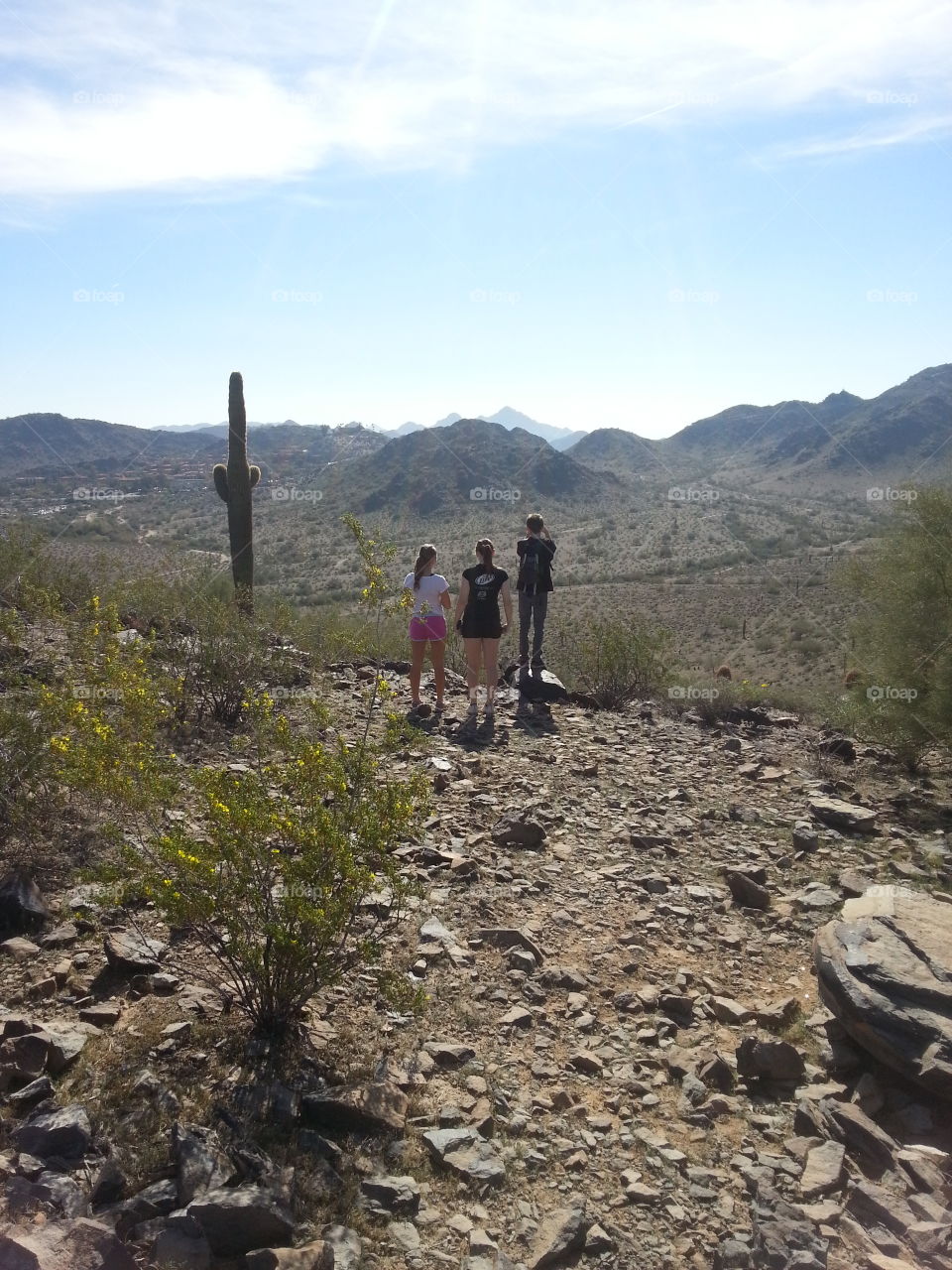 Hiking In Phoenix Arizona