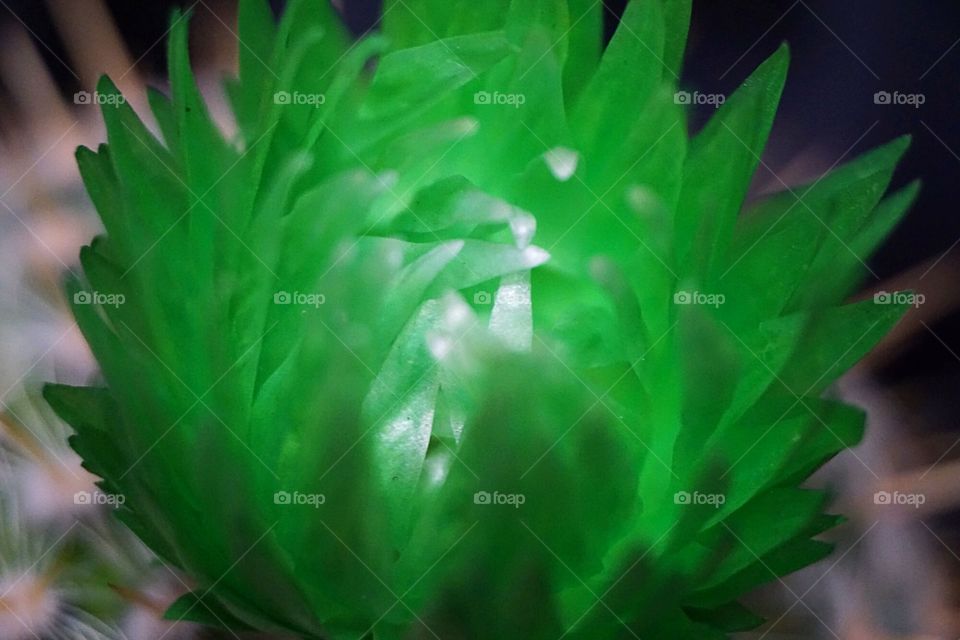 Green artificial flower