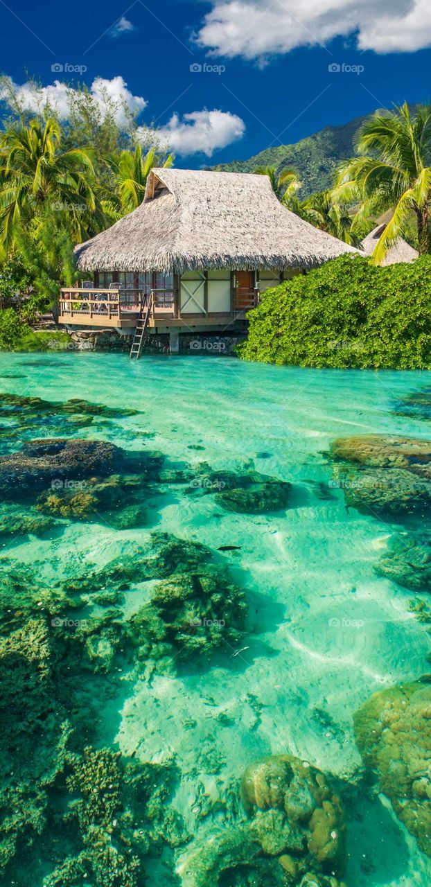 relaxation 🏖⛱🏖😎👍