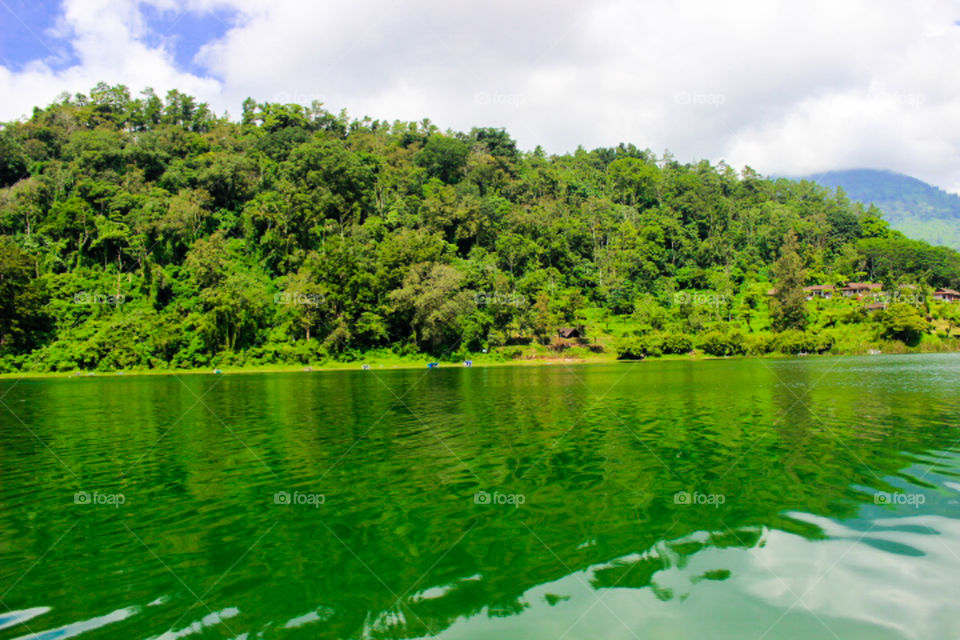Green Bedugul lake