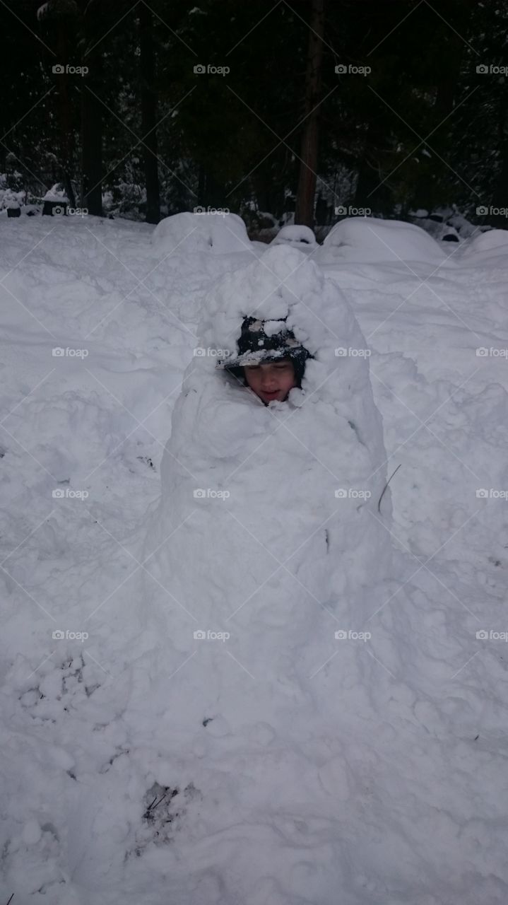 buried in snow