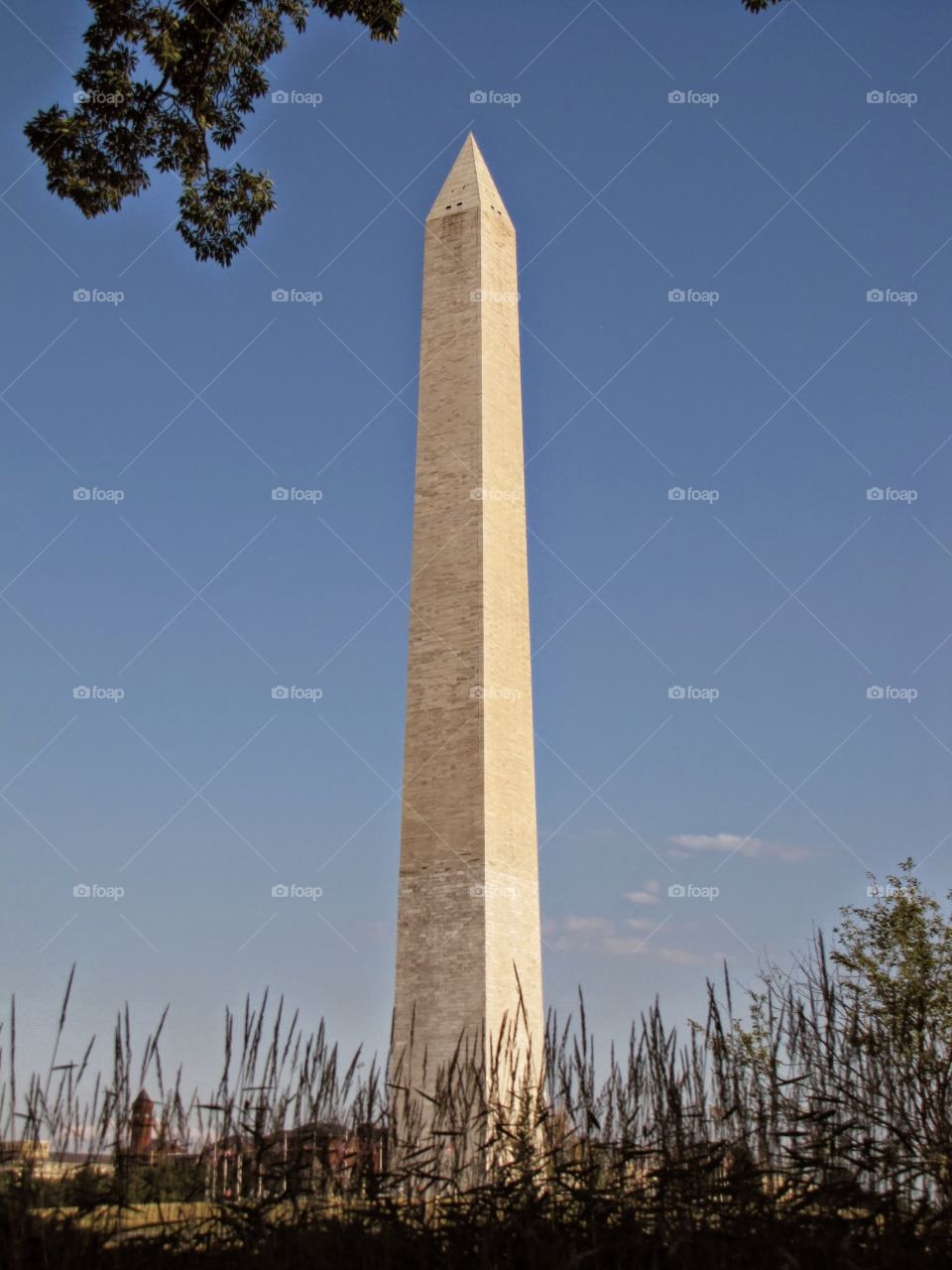 Washington Monument