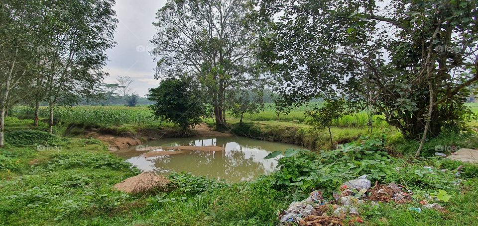 a water source on the edge of a rubber forest. Indonesia