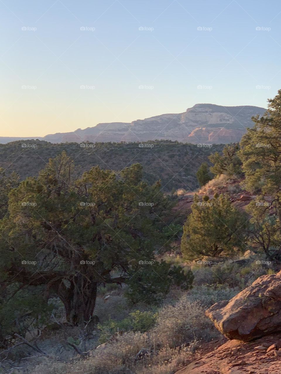 Inspiration of happiness.