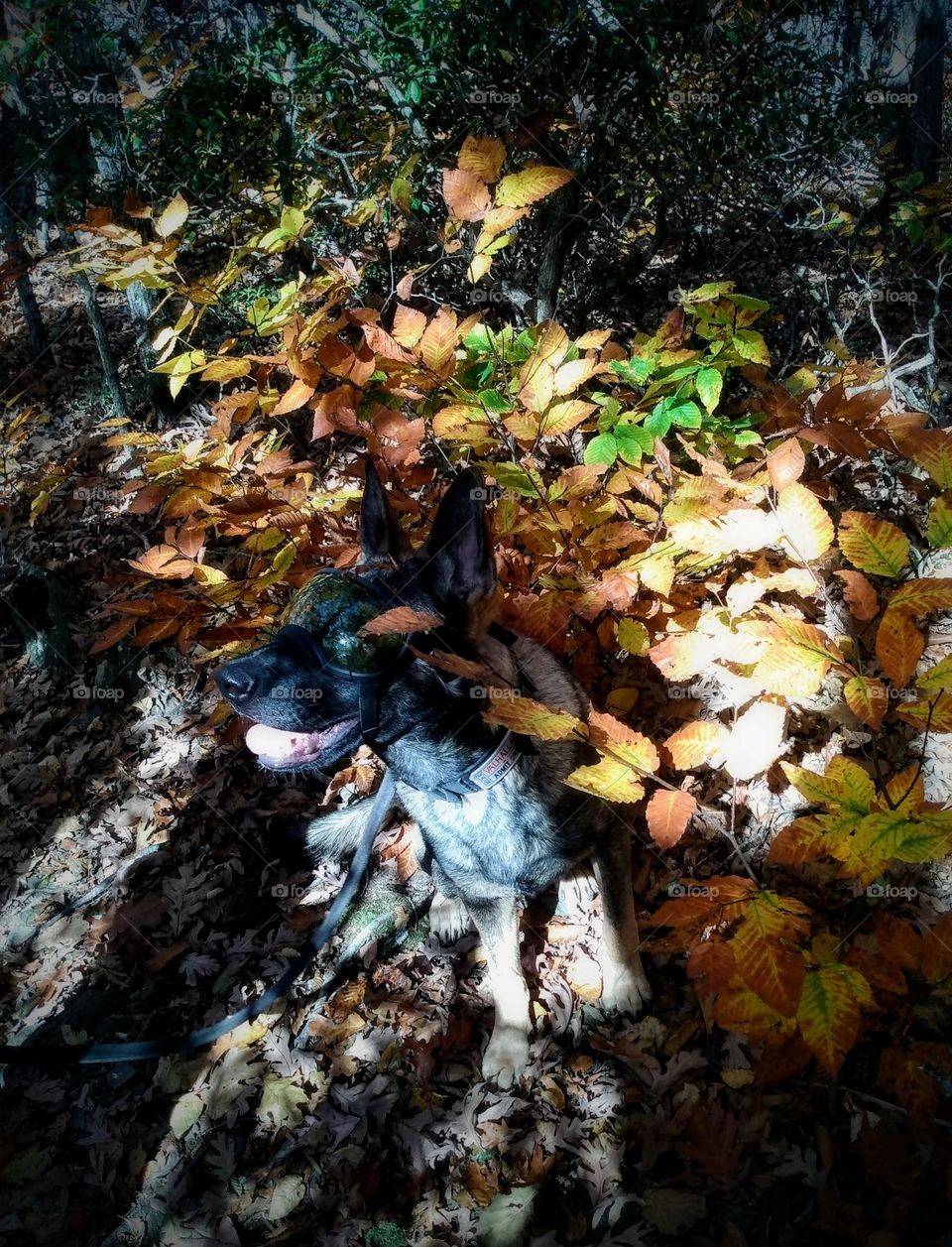 Out for an adventure