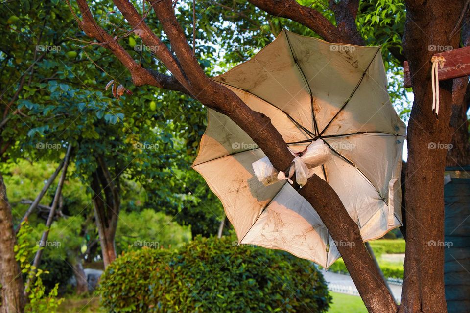 A hanging umbrella in the tree. Green leaves.