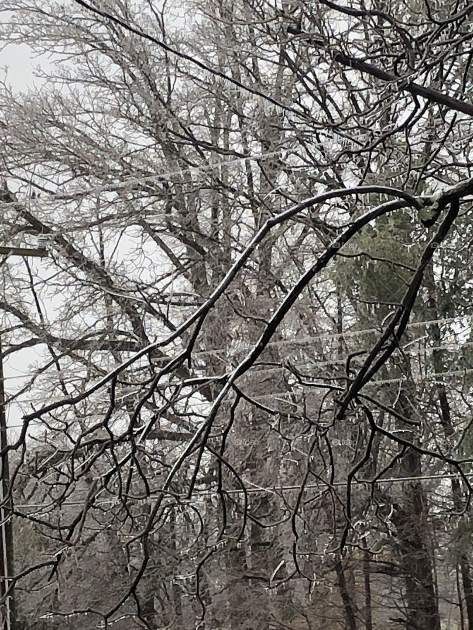 Ice storm