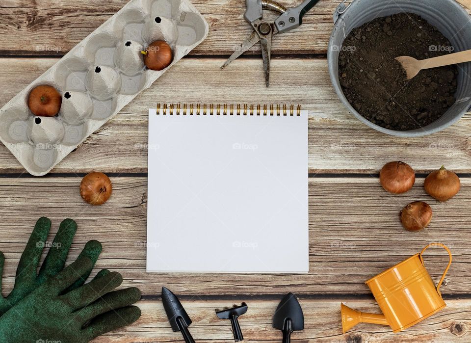 One empty notepad, dirty gloves, gardening tools, a zinc bucket with soil, an orange watering can and an onion in an egg carton lie on an old deoy table, flat lay close-up.