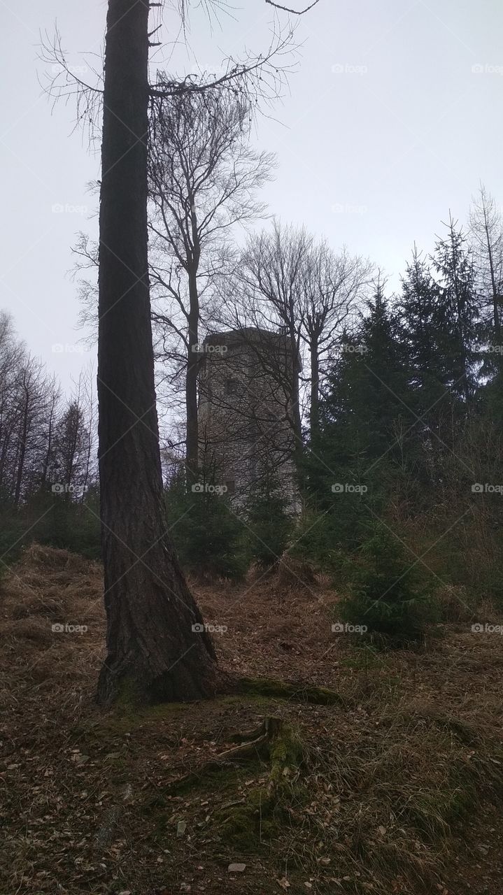 Tower in wood