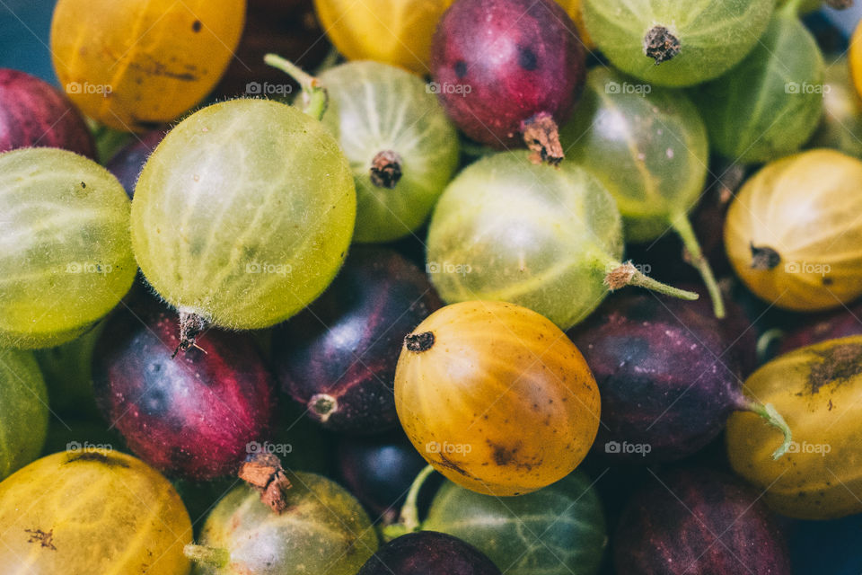 Gooseberries