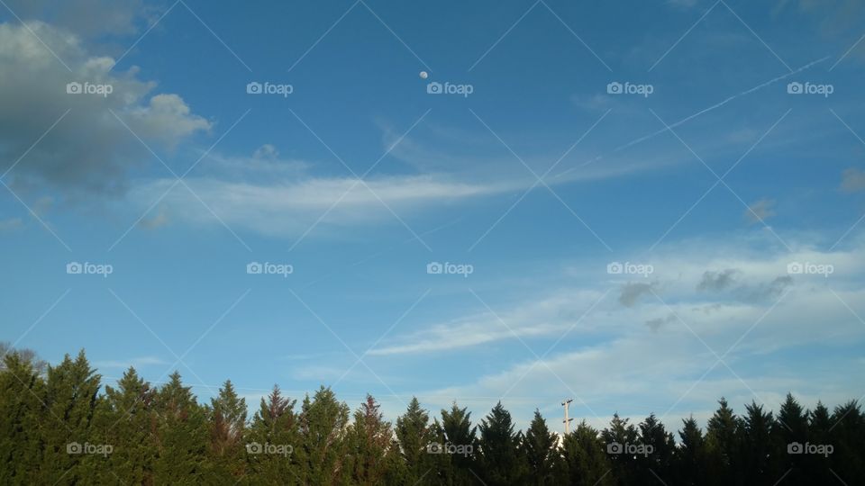 Landscape, Sky, Tree, No Person, Nature