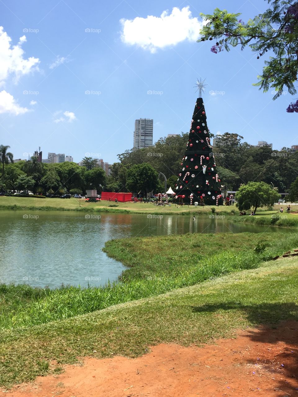 É o Natal chegando.   Arvore de Natal no Parque do Ibirapuera.  