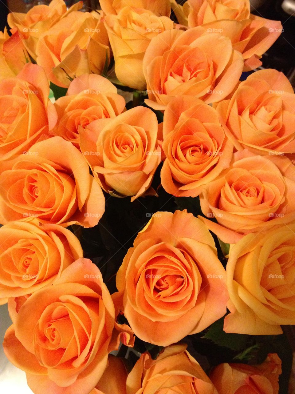 Pastel orange rose bouquet 
