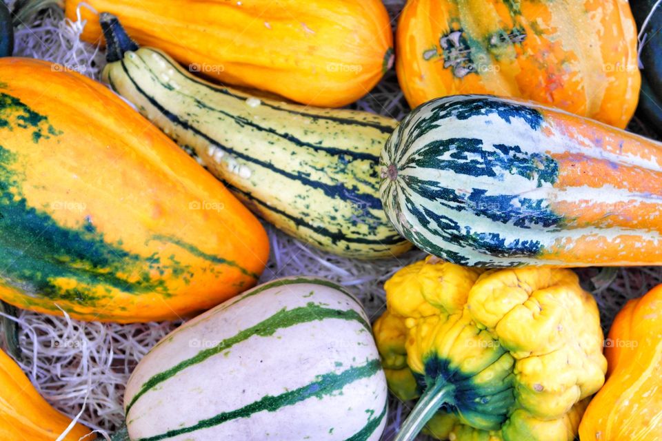 Close-up of pumpkin