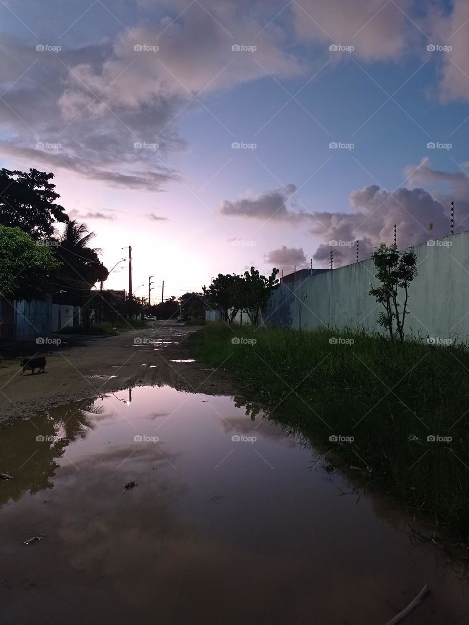 a beleza que se renova a cada dia nas paisagens já conhecidas. O céu refletido na água, as sombras nas árvores, os prédios morando com a natureza.