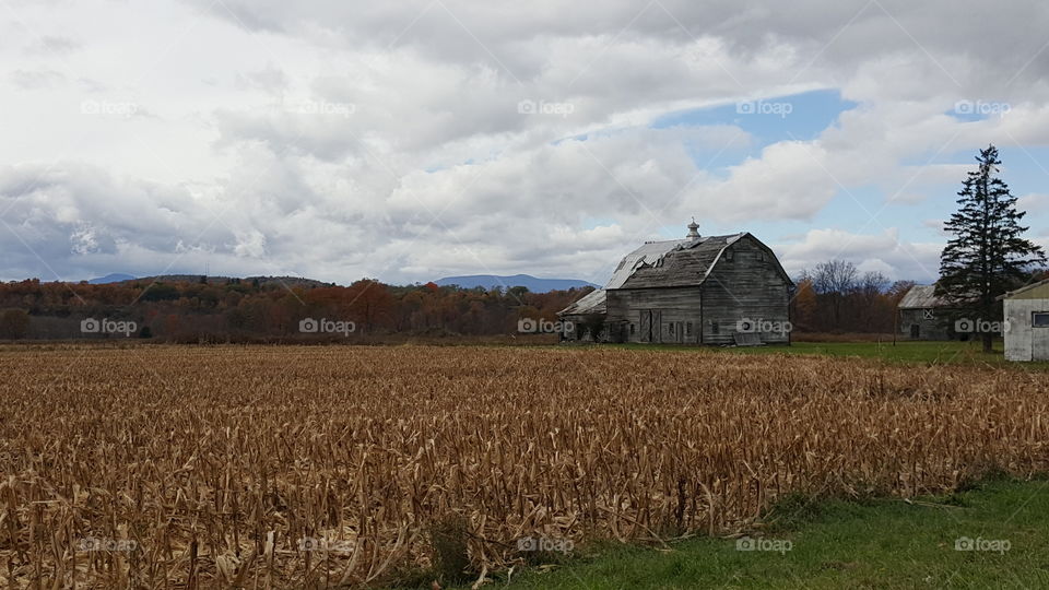 country landscape with barn