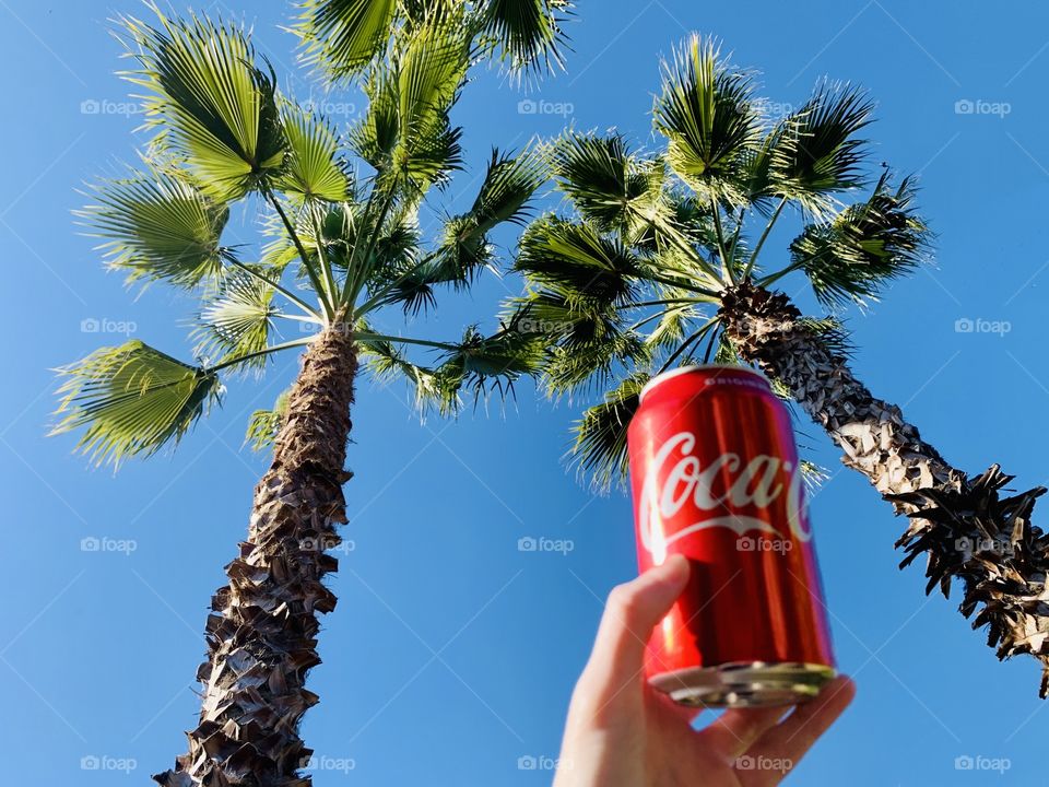 Holding a coke can outside by the palm trees and blue sky 