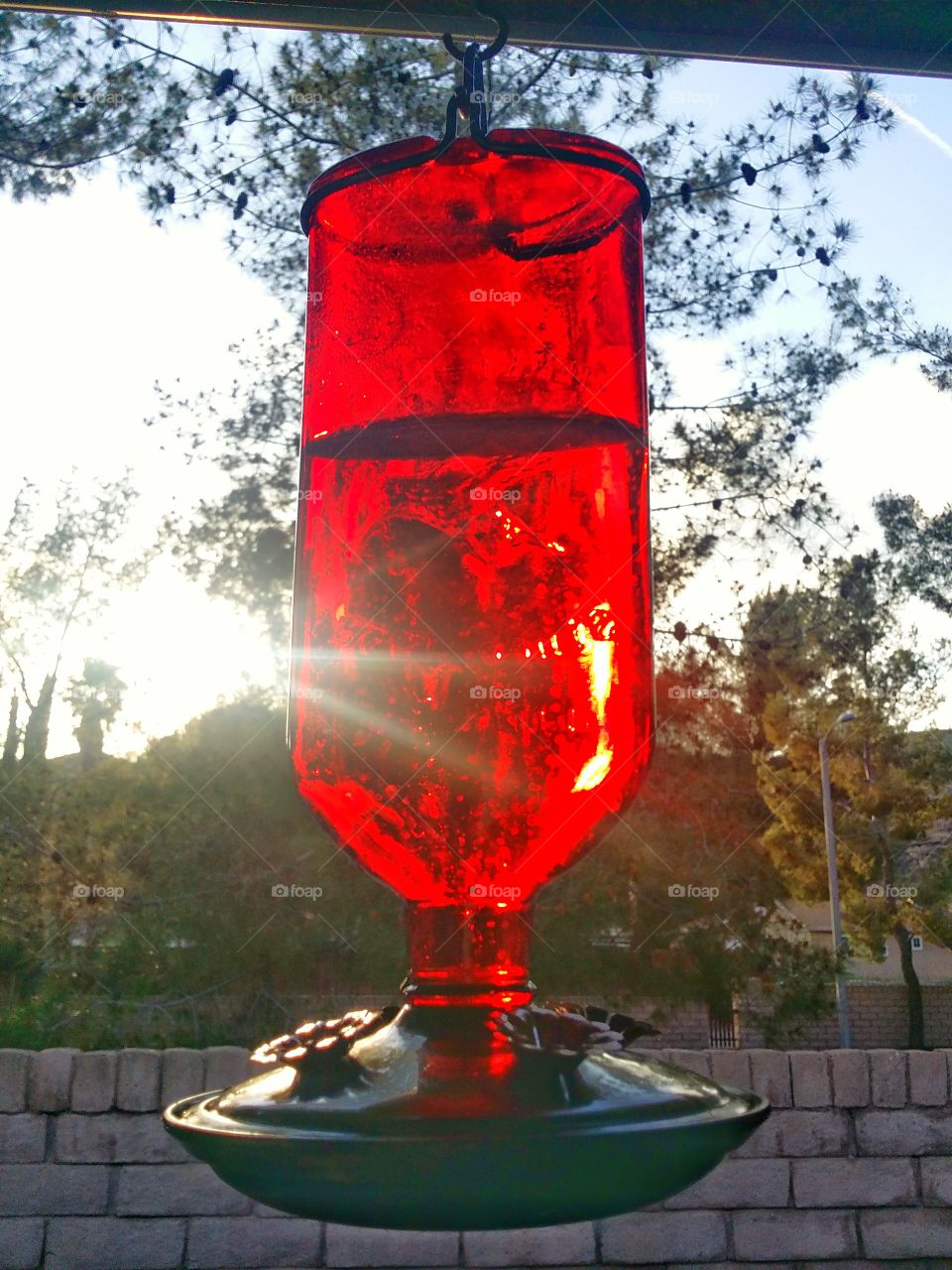 Sun Feeder. Saw the sun shinning through the hummingbird feeder