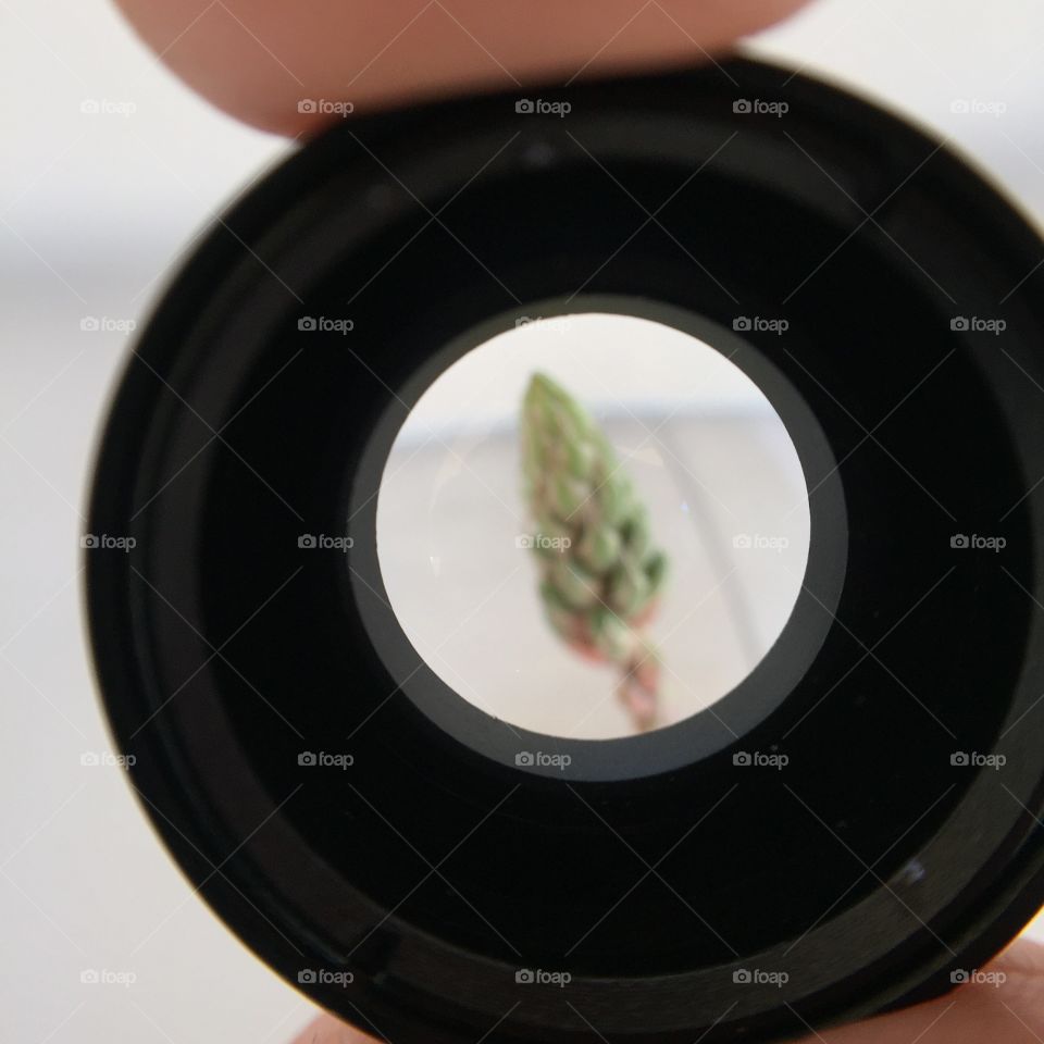 Looking through a lense