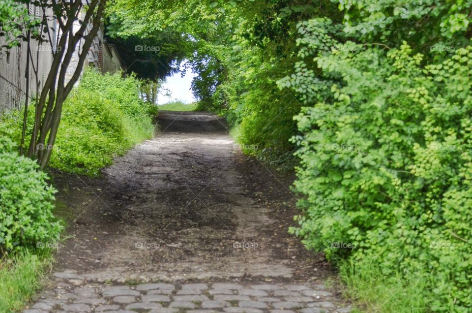 Auvers sur Oise 