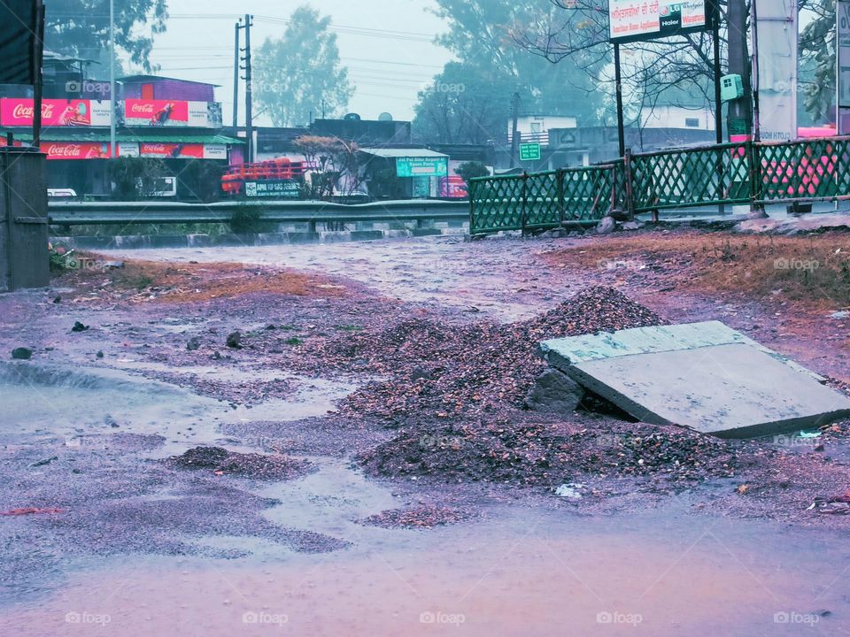 editor' choose: photo of the week