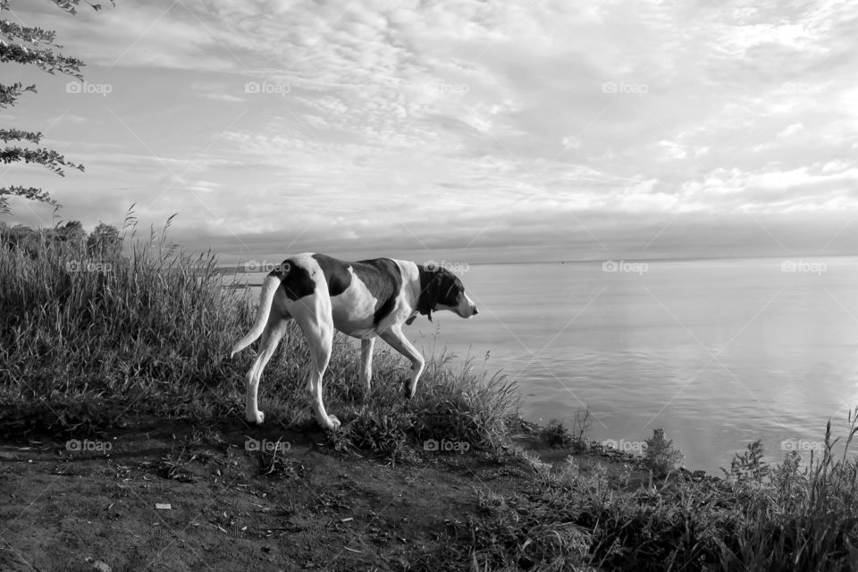 Morning hike with Marley...