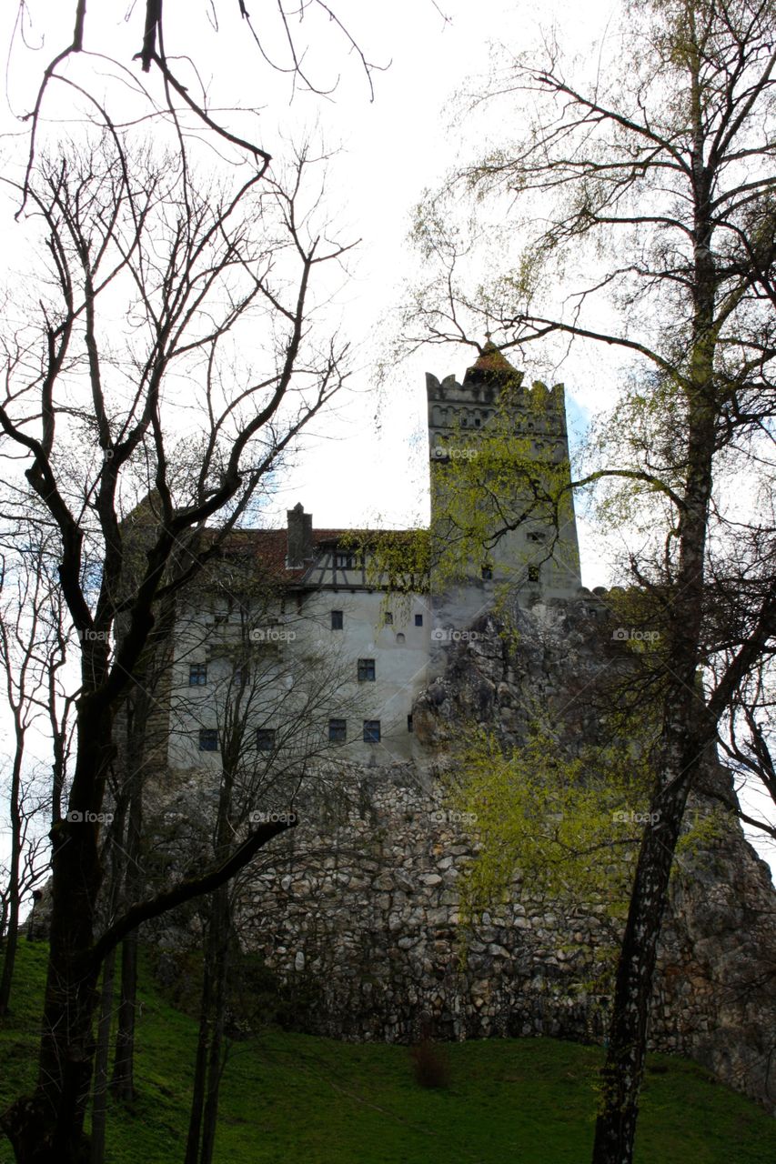 Castle Dracula, Romania