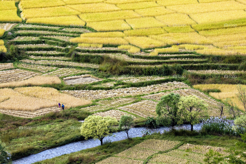 A stream by the fields