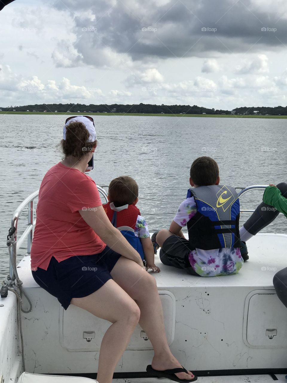 Dolphin watching with children