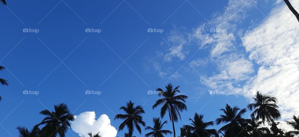 Evening sky at the end of the year