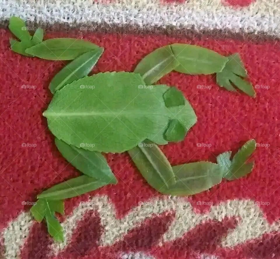 A very beautiful picture, and there is no better picture than it. There is no better picture of green herbs and colorful, red and white roses than it. Glory be to God, the natural and picturesque view, and there is no more