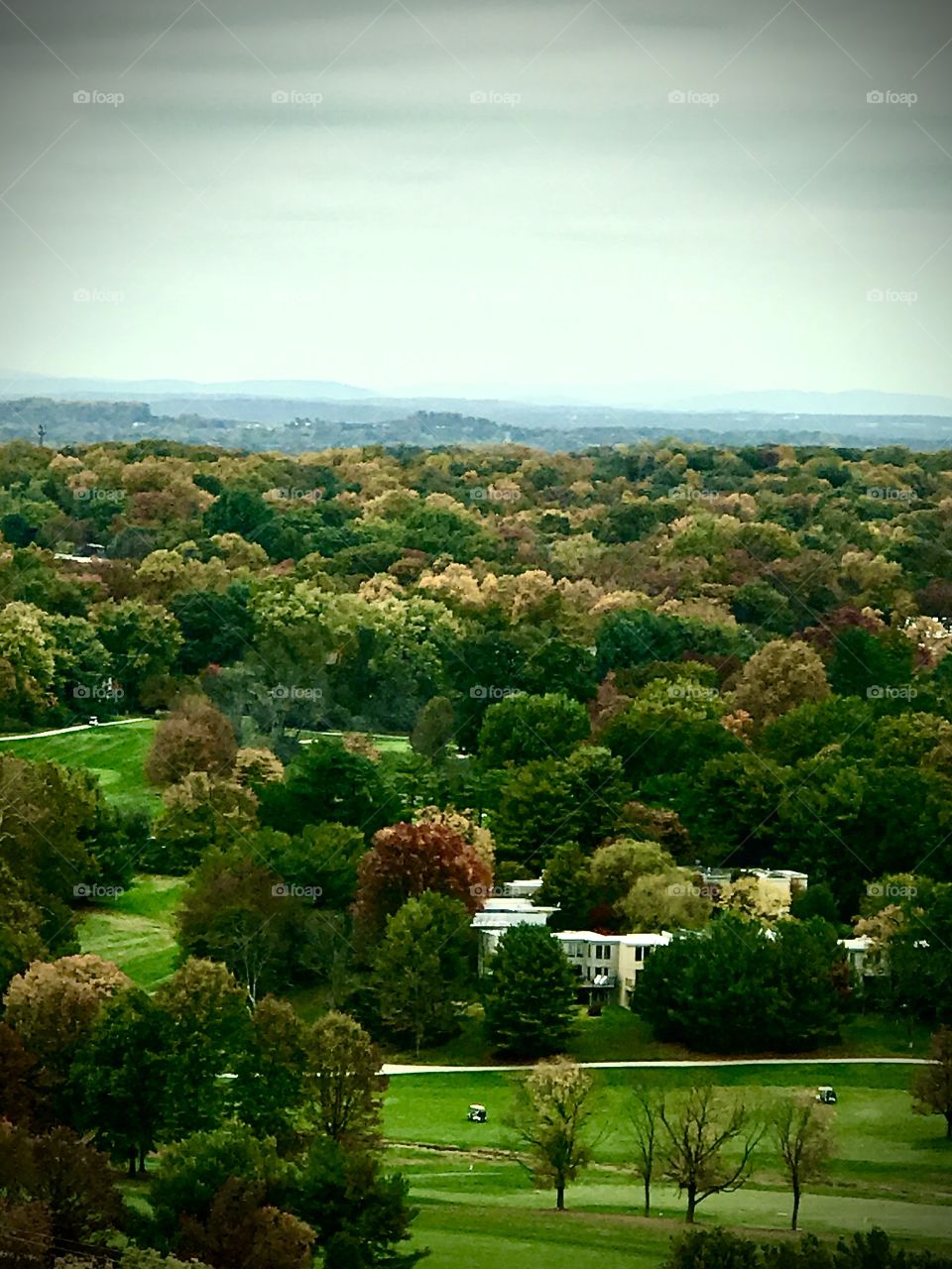 Fall colors trees spreading throughout the city 