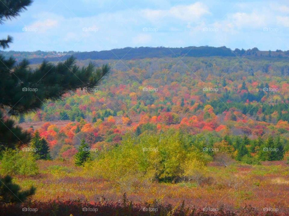 Autumn Color-West Virginia