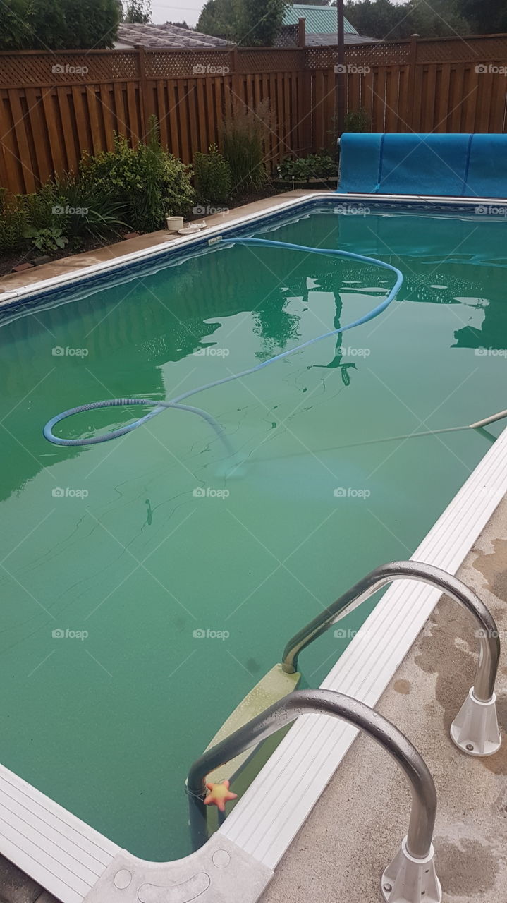 vacuuming algae out of pool