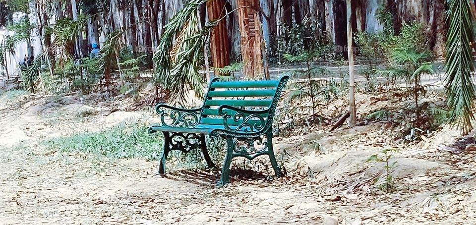 nature inside imaginary shoot