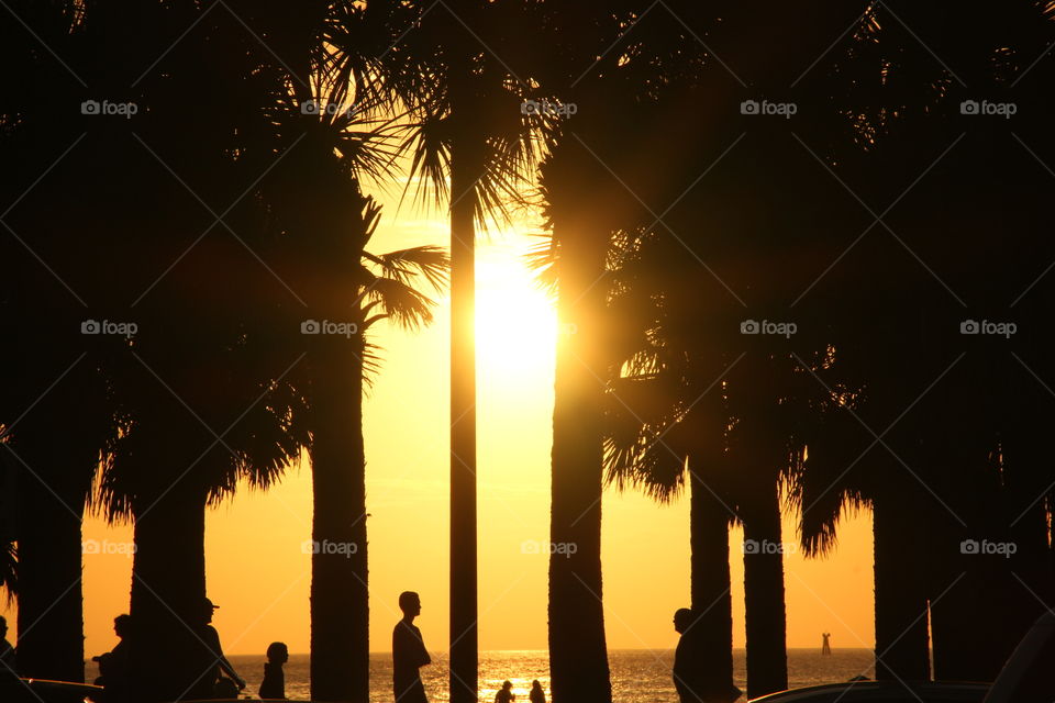 The golden hour. Sunset at Clearwater