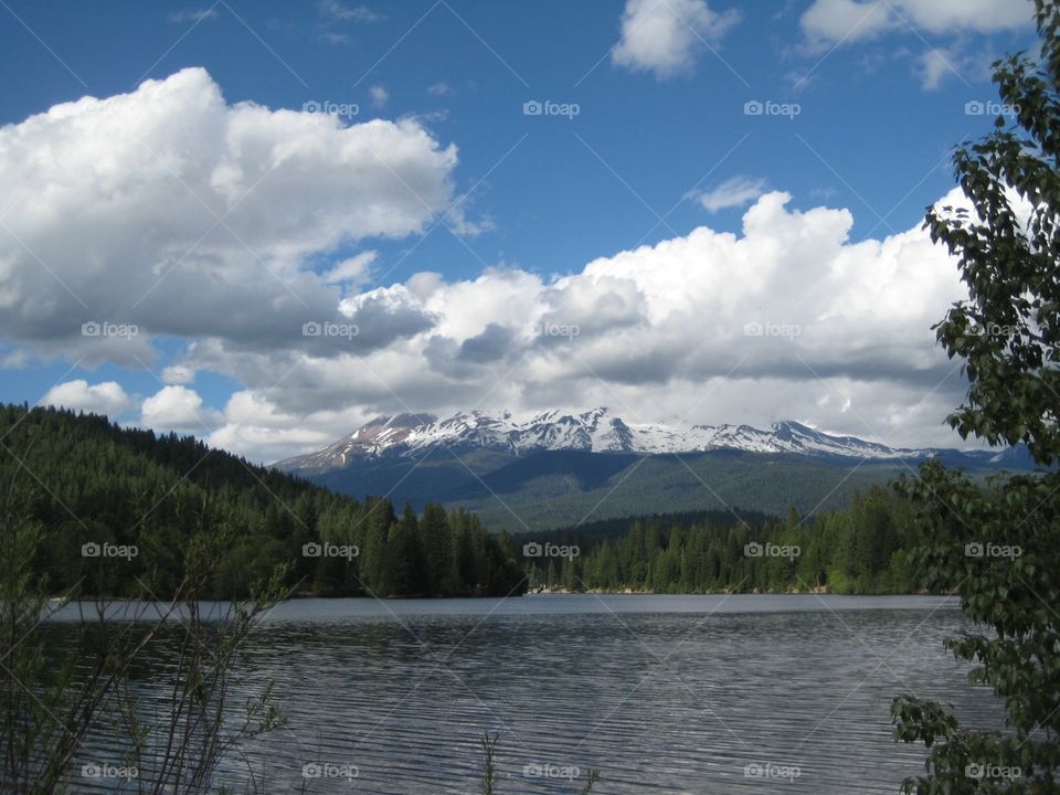 Lake, trees and snow on hills. Lake,  forested hills and snow capped mountain