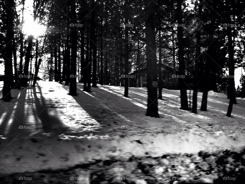 Sun shower over snow