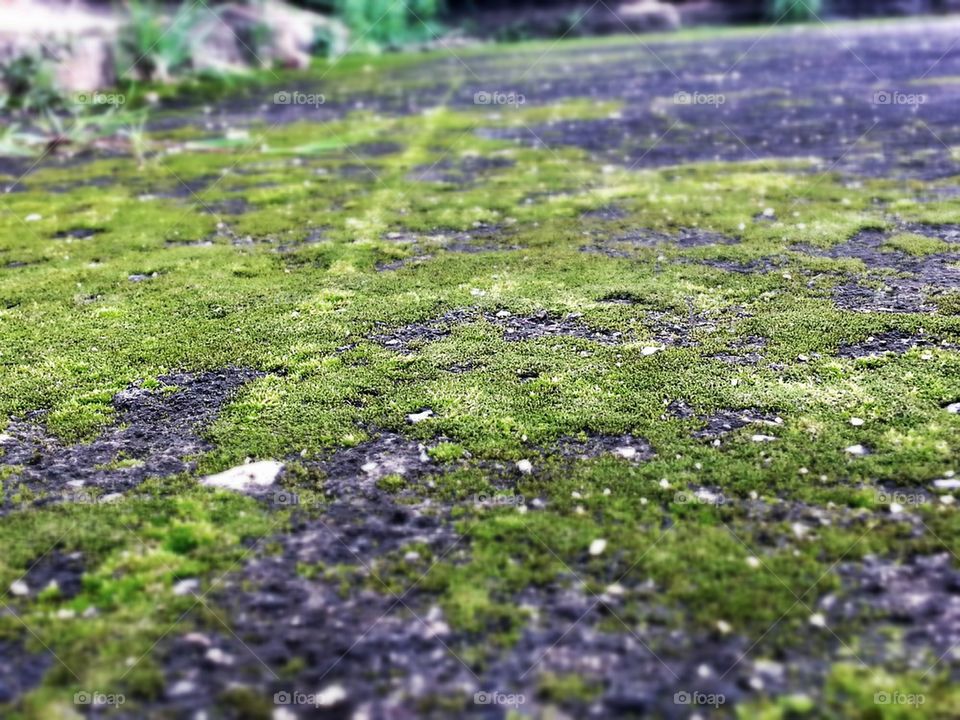 green surface
