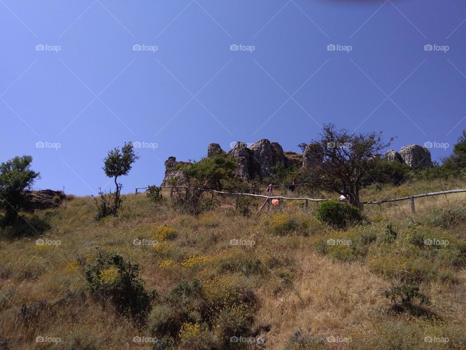 Battle: Countryside vs City