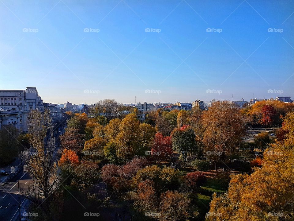 Balcony autumnal view.