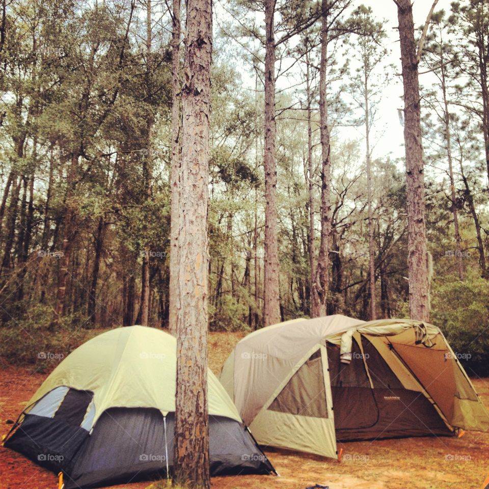 Camping in northern Florida. Camping at a music festival