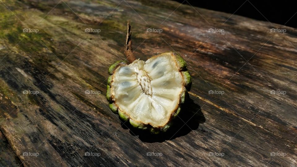 Srikaya, is a plant belonging to the genus Annona originating from the tropics. Srikaya fruit is round with many-eyed skin. The flesh is white. Including perennial semi-green shrubs or deciduous trees reaching 8 m in height.