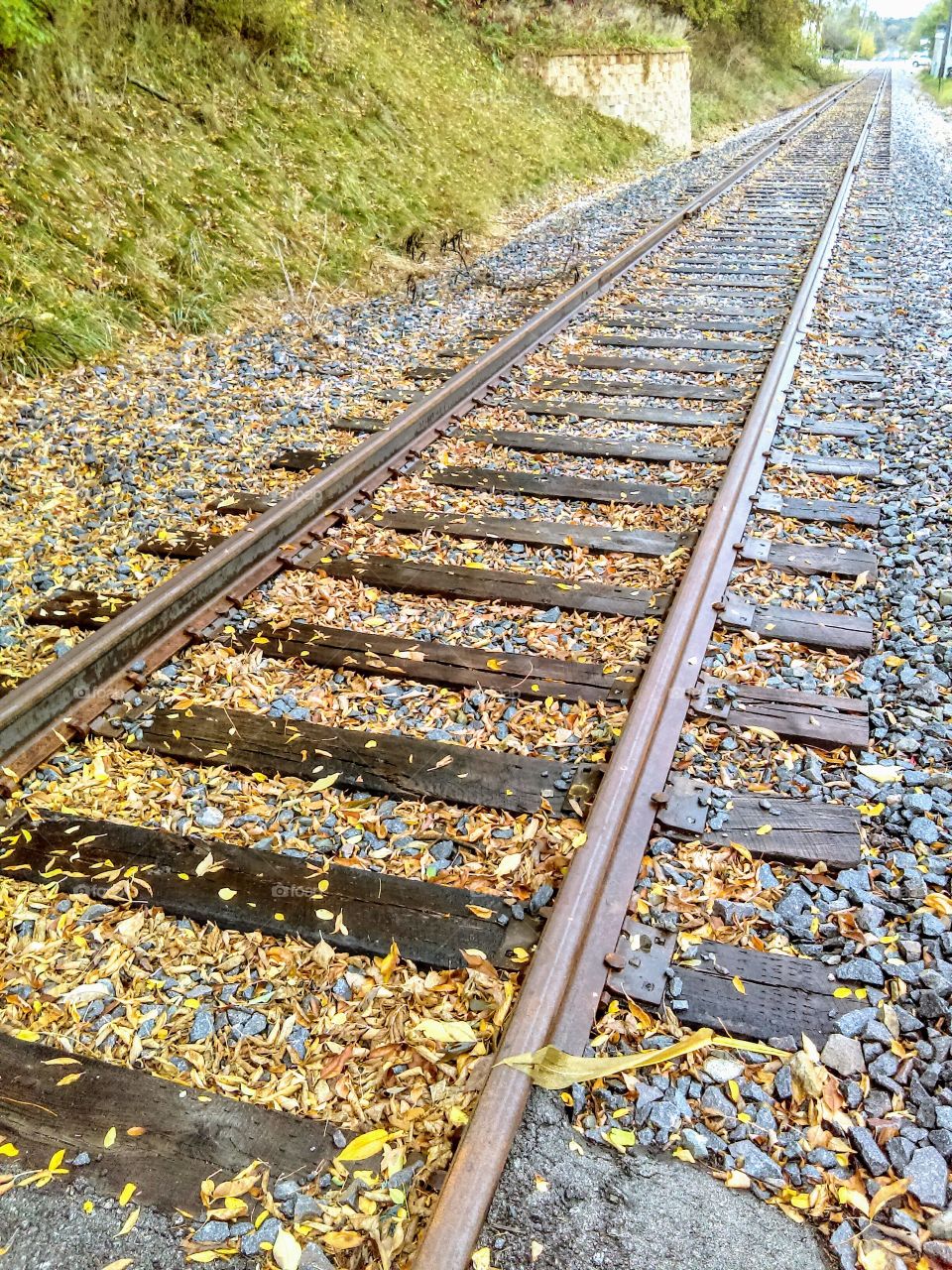 Train Tracks in the fall
